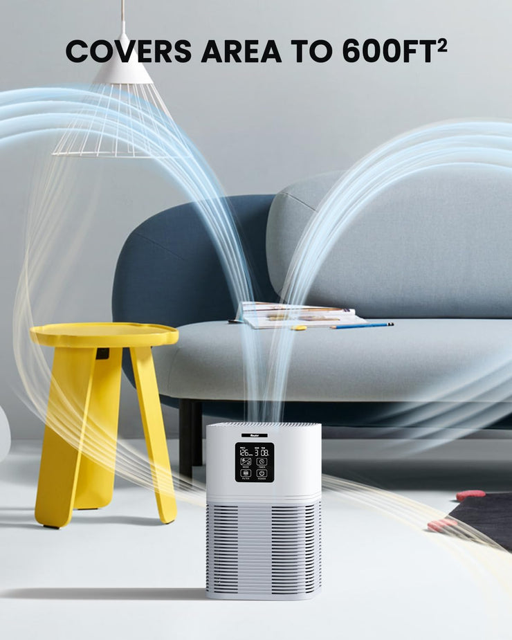 Vewior air purifiers for Home