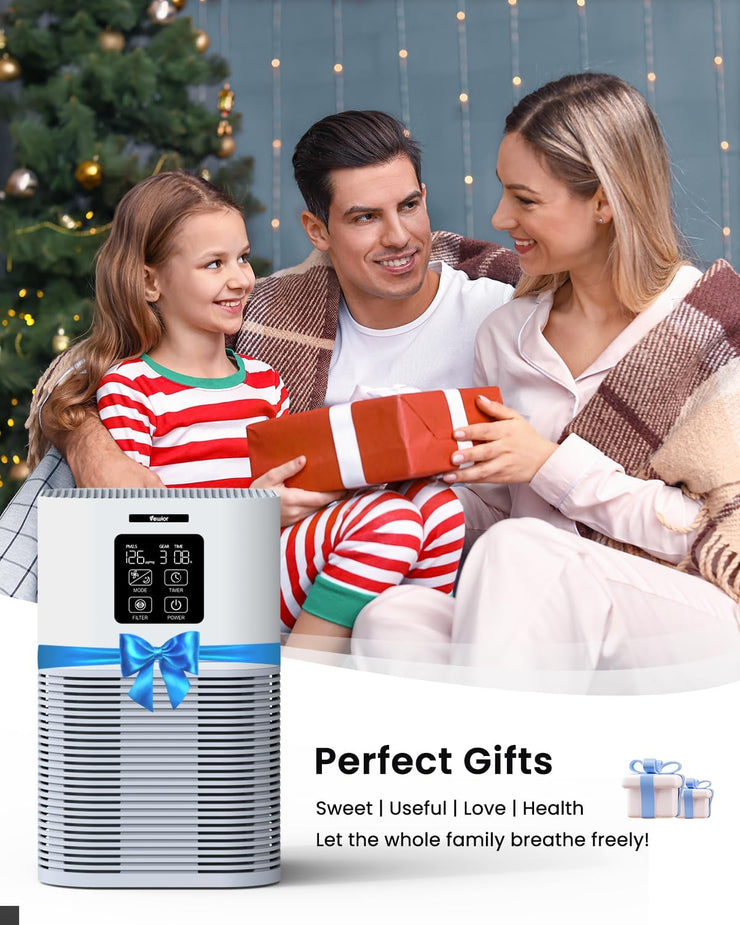 Vewior air purifiers for Home